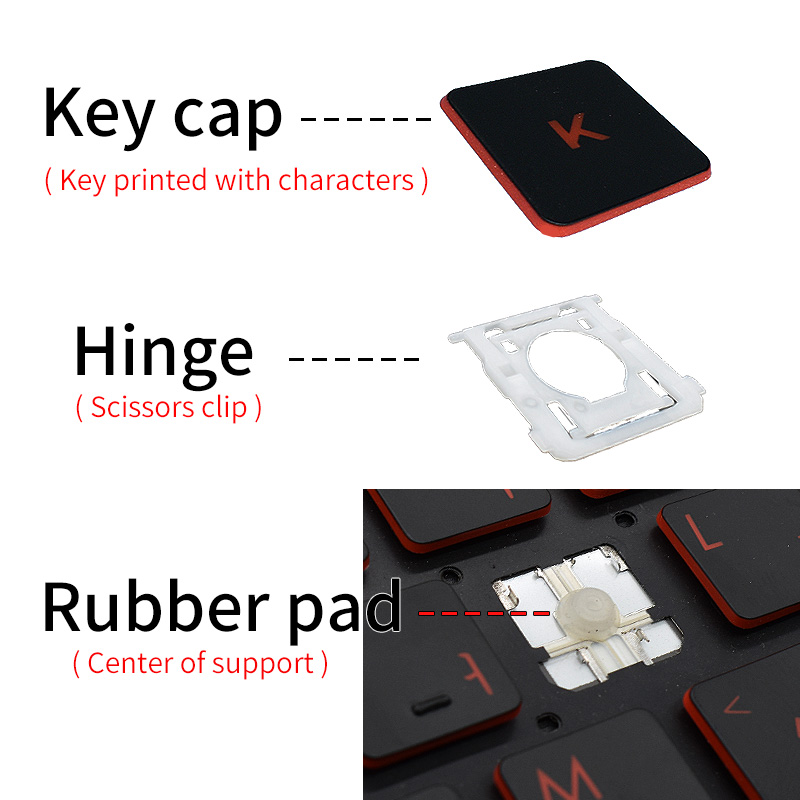 Copritasto di ricambio per cop - Laptop Accessories Hp recensione e prezzo